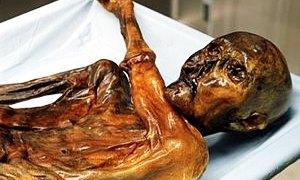 otzi 300x180