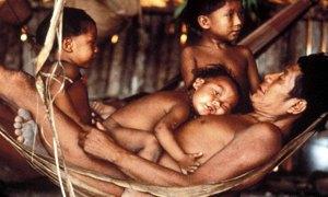 yanomami 300x180