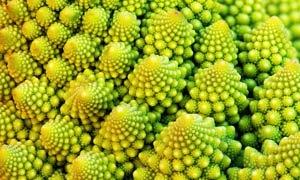 Romanesco Broccoli-300X180