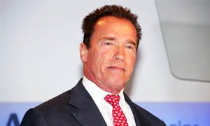 Schwarzenegger 300x180