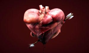 Corpo umano-il cuore e sangue-300x180