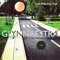 I migliori album musicali del 2013-Vampire Weekend - Grumbling Fur - Glynnaestra-250x250