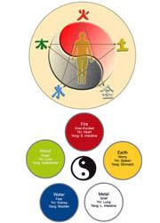 Il concetto di yin e yang e i 5 elementi-180x250