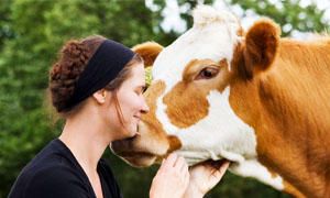 Ogni vegan salva 1400 animali-300x180