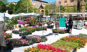 Giardino in fiore – Ancona-300x180