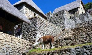 Le abitazioni Incas-300x180
