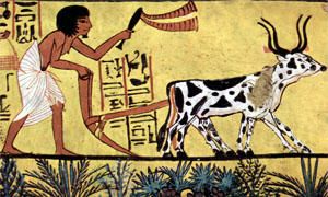 Abitudini alimentari ancestrali e l’invenzione dell’agricoltura-300x180