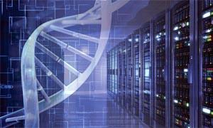 Costruire una macchina “redattrice” del DNA umano-300x180