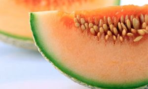 Melone-300x180