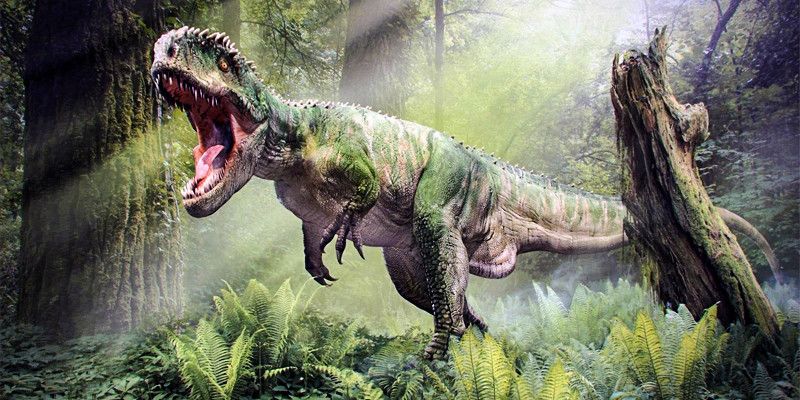 La verità sui dinosauri-800x400