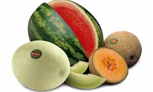 Meloni, cocomeri-300x180
