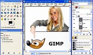 THE GIMP-300x180