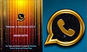 WhatsApp Gold-300x180