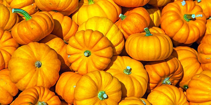 La zucca, regina indiscussa degli antiage d’autunno