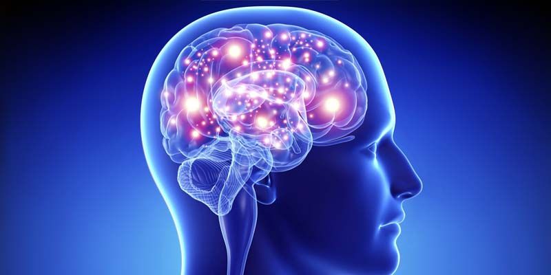 10 miti da sfatare sul cervello1-800x400
