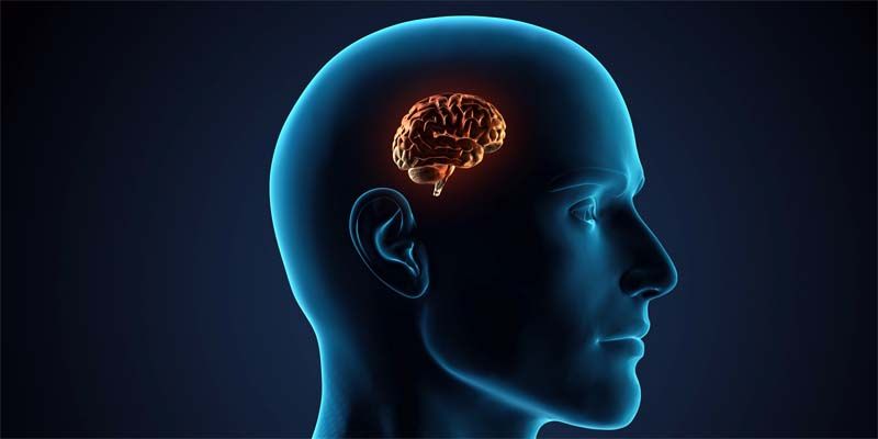 10 miti da sfatare sul cervello3-800x400