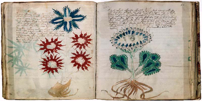 manoscritto Voynich1-800x400