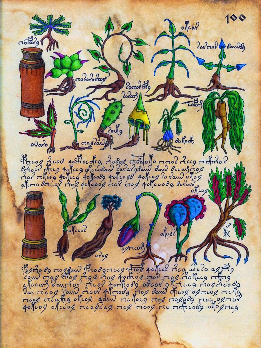 manoscritto Voynich10-800x400