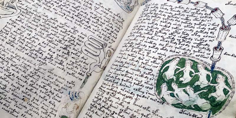 manoscritto Voynich5-800x400