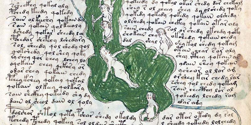 manoscritto Voynich6-800x400