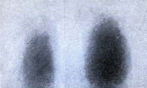 titolo2-300x180