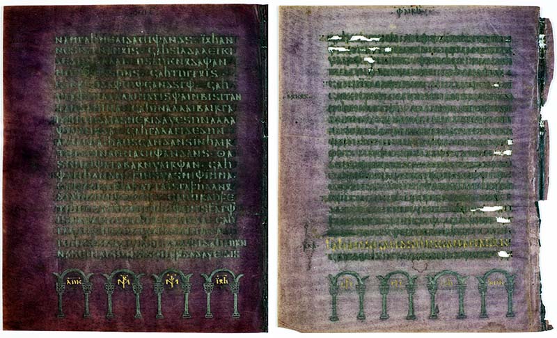 Codex argenteus
