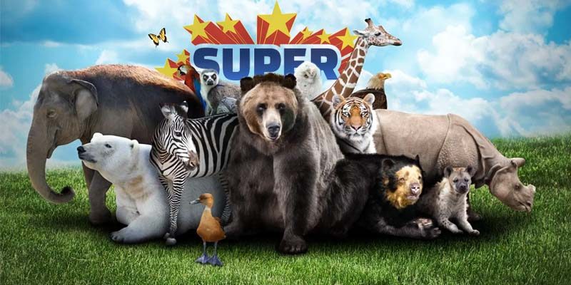 Animali fantastici con superpoteri