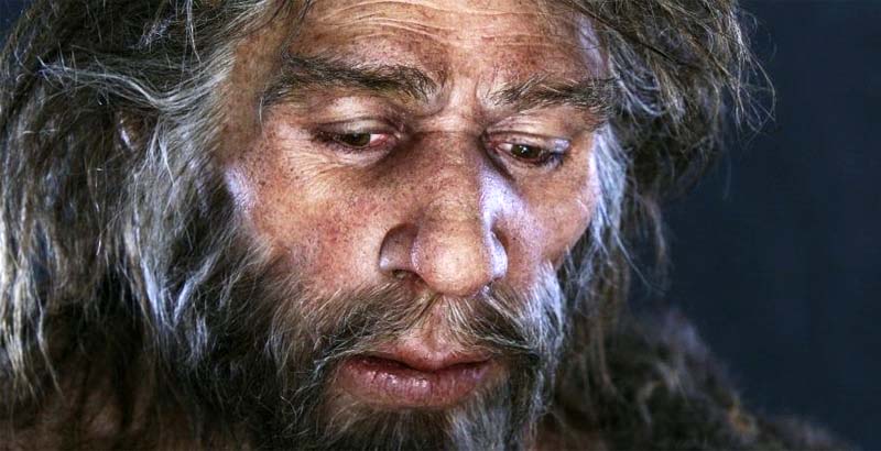 uomo di Neandertal-1-800x400