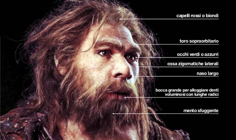 uomo di Neandertal-4-800x400