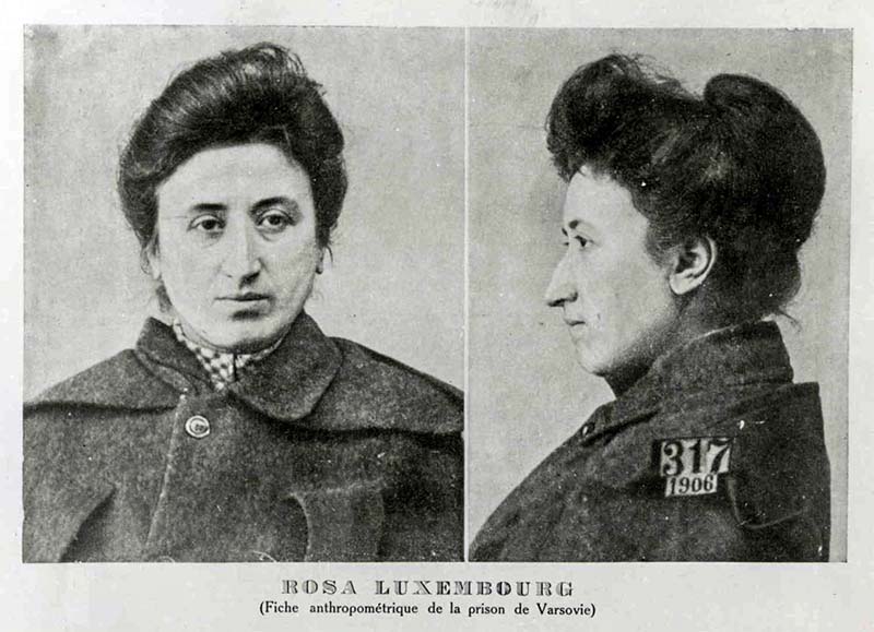 Rosa Luxemburg-2-800x400