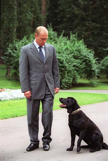 Koni cane di Vladimir Putin