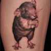 tatuaggio animali 10