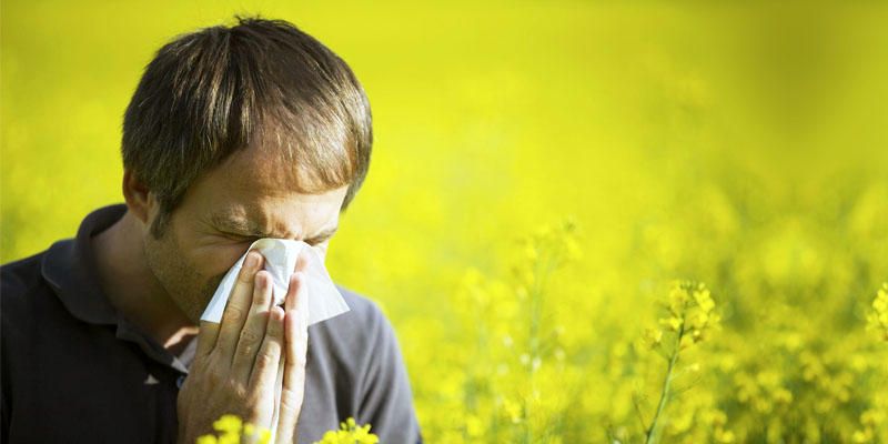 Allergie- le 5 cause principali 2-800x400
