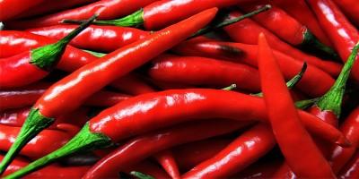 Peperoncino-5 cose da sapere 3-800x400