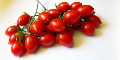 Pomodoro ciliegino e datterino 2-800x400