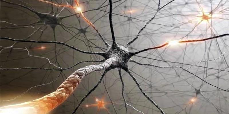 5 famose malattie del sistema nervoso-800x400
