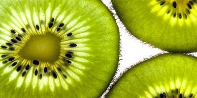 Kiwi4-800x400