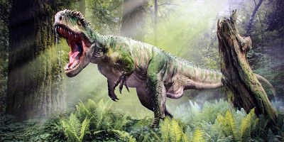 La verità sui dinosauri-800x400