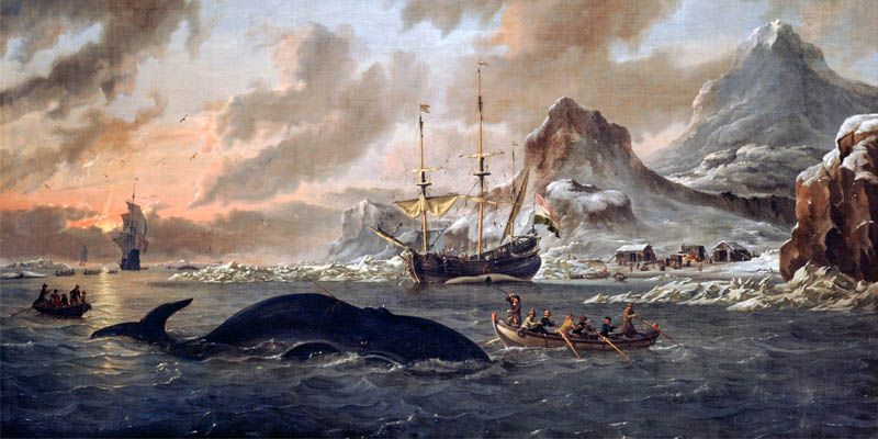 Caccia alle balene2-800x400