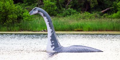 Il mostro di Loch Ness-800x400