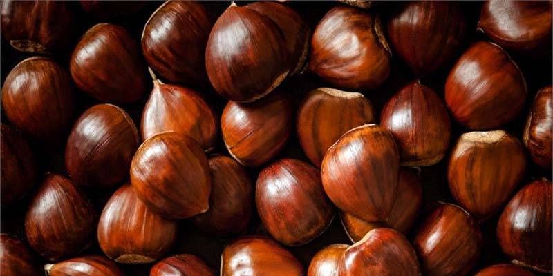 Le Castagne Frutti Miracolosi Contro La Stipsi E La Fatica Best5 It