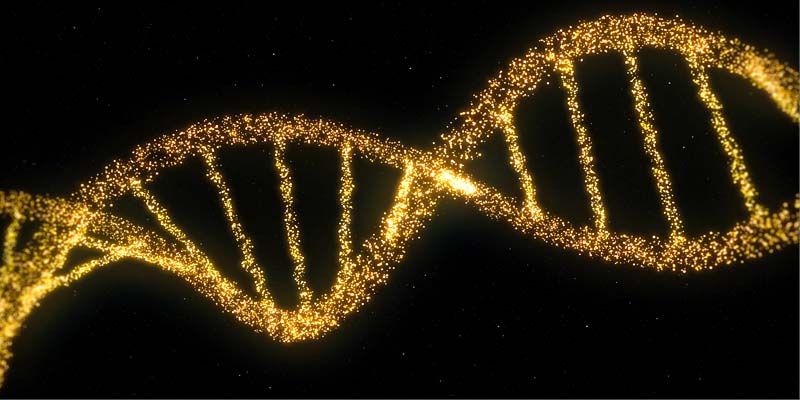 Il DNA e il mistero della vita1-800x400