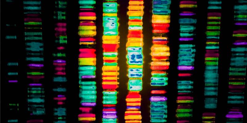 Il DNA e il mistero della vita2-800x400