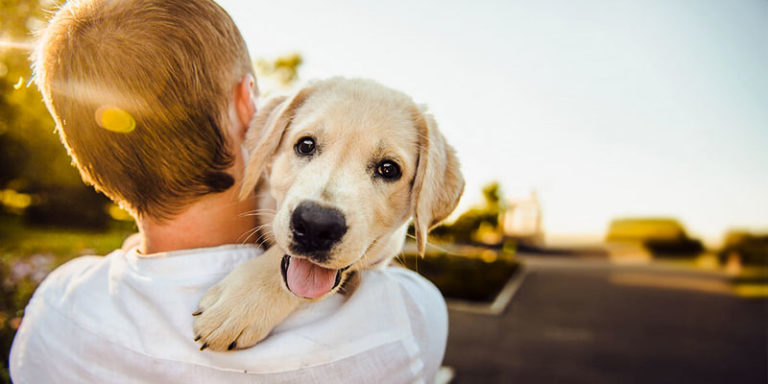 Come rendere felice il nostre cane1-800x400