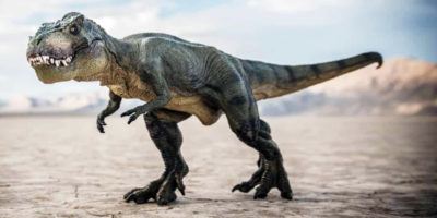 t-rex-8-800x400