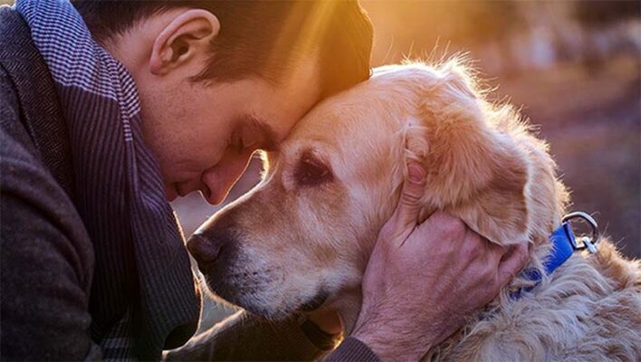 Il Cane è Il Miglior Amico Dell Uomo