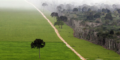 deforestazione foresta amazonica-22-800x400