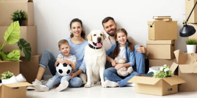 il cane in famiglia-9-800x400